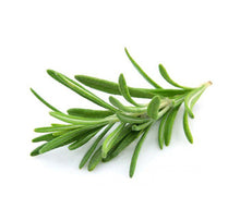 Carica l'immagine nel visualizzatore di Gallery, PURIFYING WASH - Shampoo Purificante