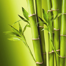 Carica l'immagine nel visualizzatore di Gallery, REVITALIZING SPRAY - Idratante e lucidante