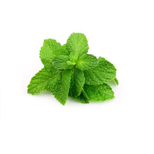 Carica l'immagine nel visualizzatore di Gallery, PURIFYING WASH - Shampoo Purificante